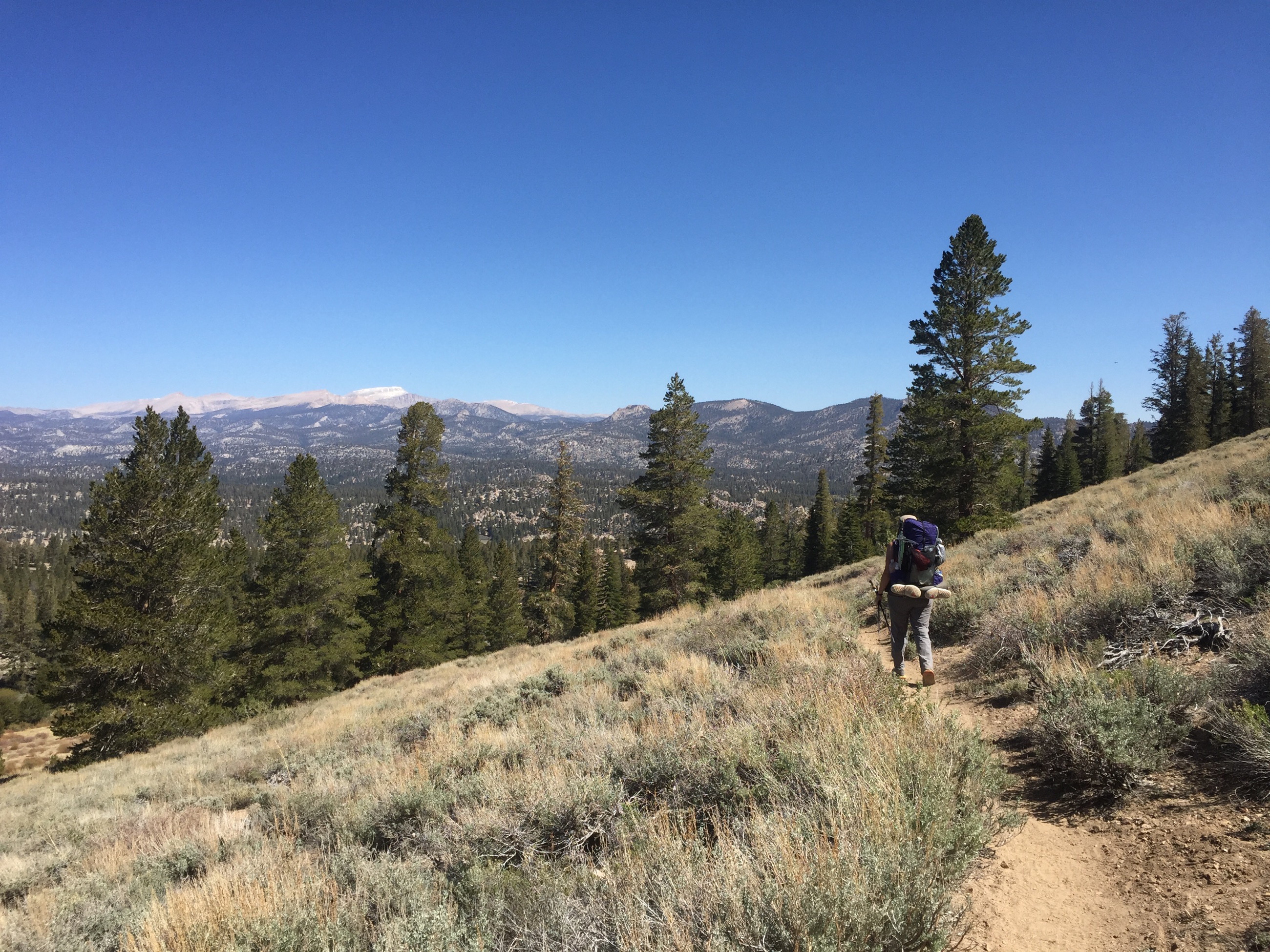Day 56: Up and Down the Sierra (and Up, and Down, and…)